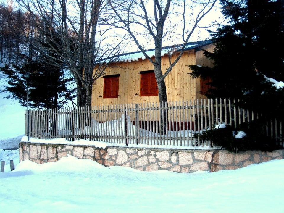 Campeggio Branchetto Bosco Chiesanuova Exterior foto