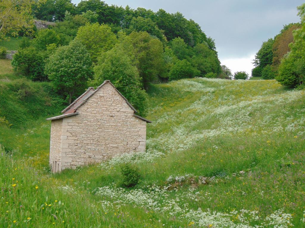 Campeggio Branchetto Bosco Chiesanuova Exterior foto